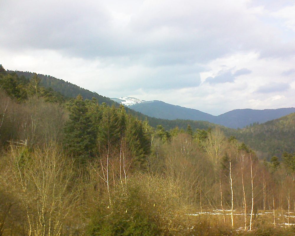 Le petit ballon vu depuis le Domaine Langmatt à Murbach le 19.02.2019 à 14:15 Le petit ballon (Alsace, Vosges) le 19.02.2019 à 14:15