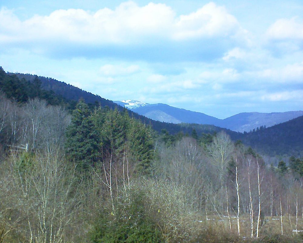 Le petit ballon vu depuis le Domaine Langmatt à Murbach le 20.02.2019 à 13:30 Le petit ballon (Alsace, Vosges) le 20.02.2019 à 13:30