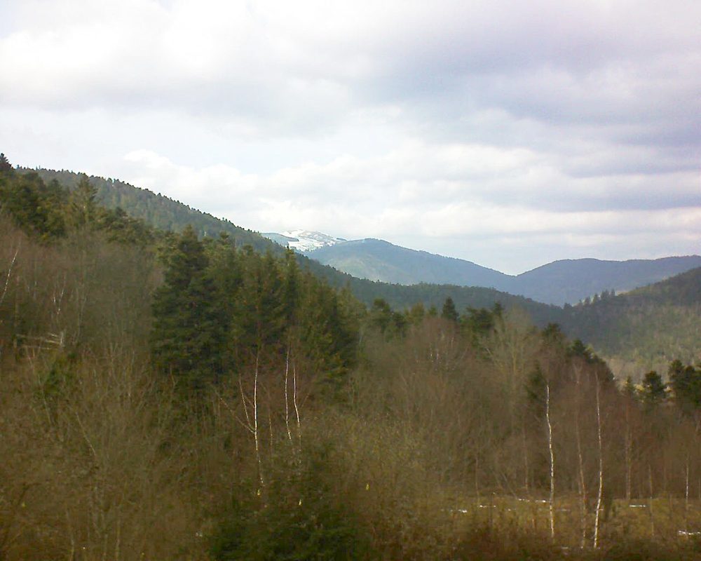 Le petit ballon vu depuis le Domaine Langmatt à Murbach le 20.02.2019 à 14:00 Le petit ballon (Alsace, Vosges) le 20.02.2019 à 14:00