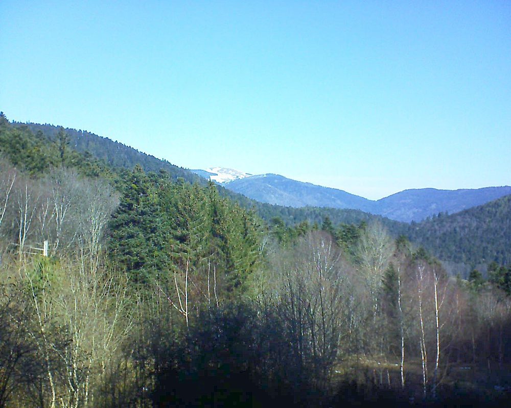 Le petit ballon vu depuis le Domaine Langmatt à Murbach le 21.02.2019 à 11:00 Le petit ballon (Alsace, Vosges) le 21.02.2019 à 11:00