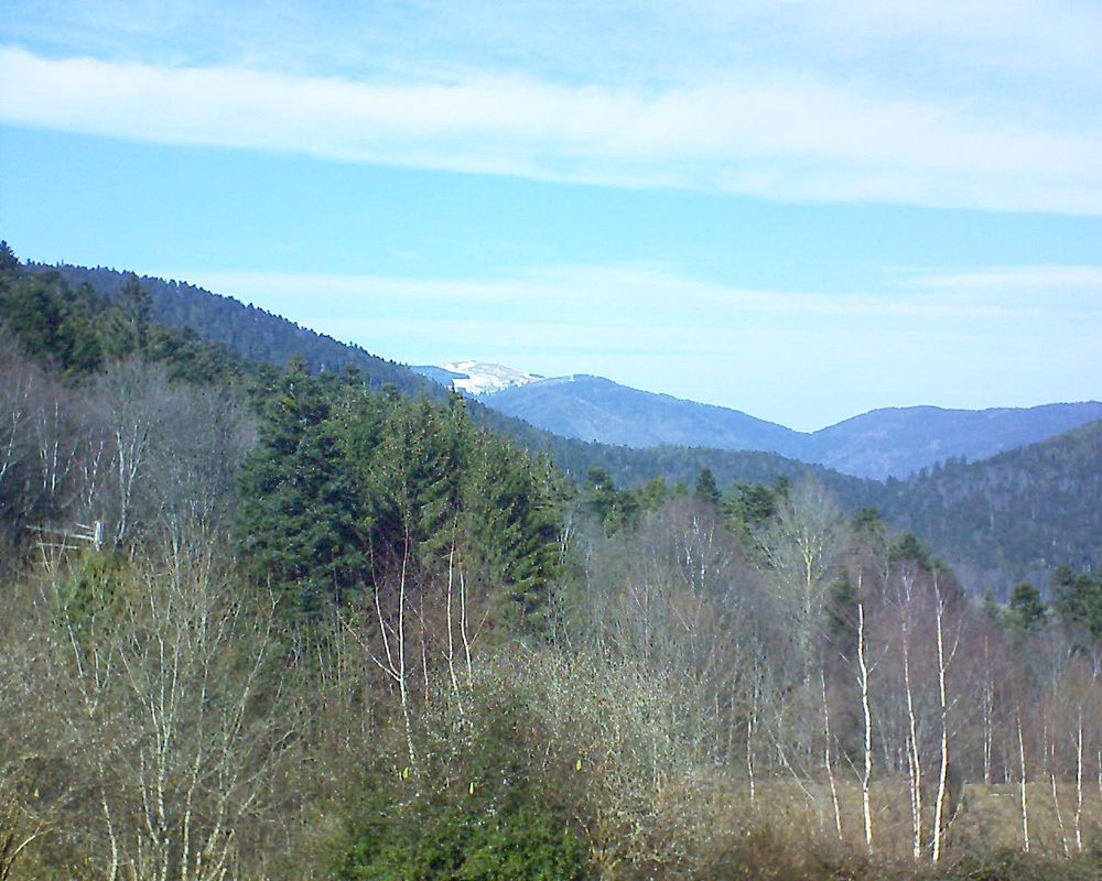 Le petit ballon vu depuis le Domaine Langmatt à Murbach le 21.02.2019 à 13:30 Le petit ballon (Alsace, Vosges) le 21.02.2019 à 13:30