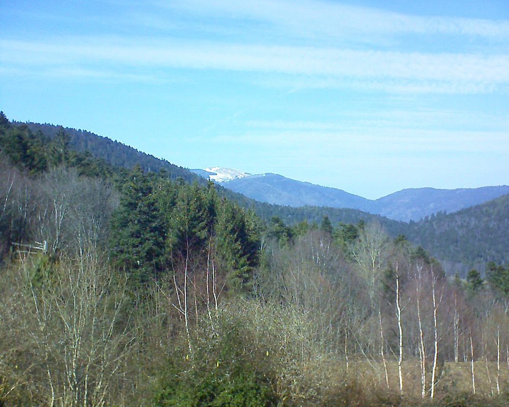 Le petit ballon vu depuis le Domaine Langmatt à Murbach le 21.02.2019 à 14:00 Le petit ballon (Alsace, Vosges) le 21.02.2019 à 14:00
