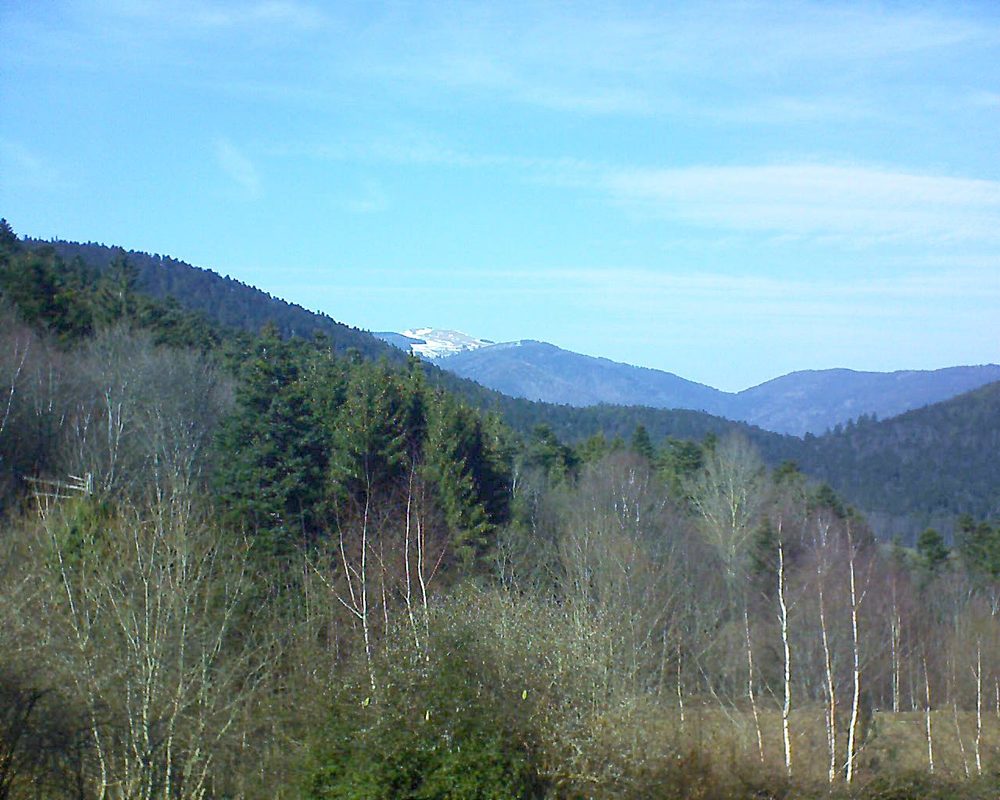 Le petit ballon vu depuis le Domaine Langmatt à Murbach le 21.02.2019 à 14:15 Le petit ballon (Alsace, Vosges) le 21.02.2019 à 14:15