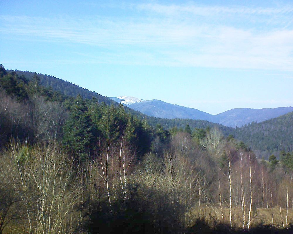 Le petit ballon vu depuis le Domaine Langmatt à Murbach le 21.02.2019 à 15:15 Le petit ballon (Alsace, Vosges) le 21.02.2019 à 15:15