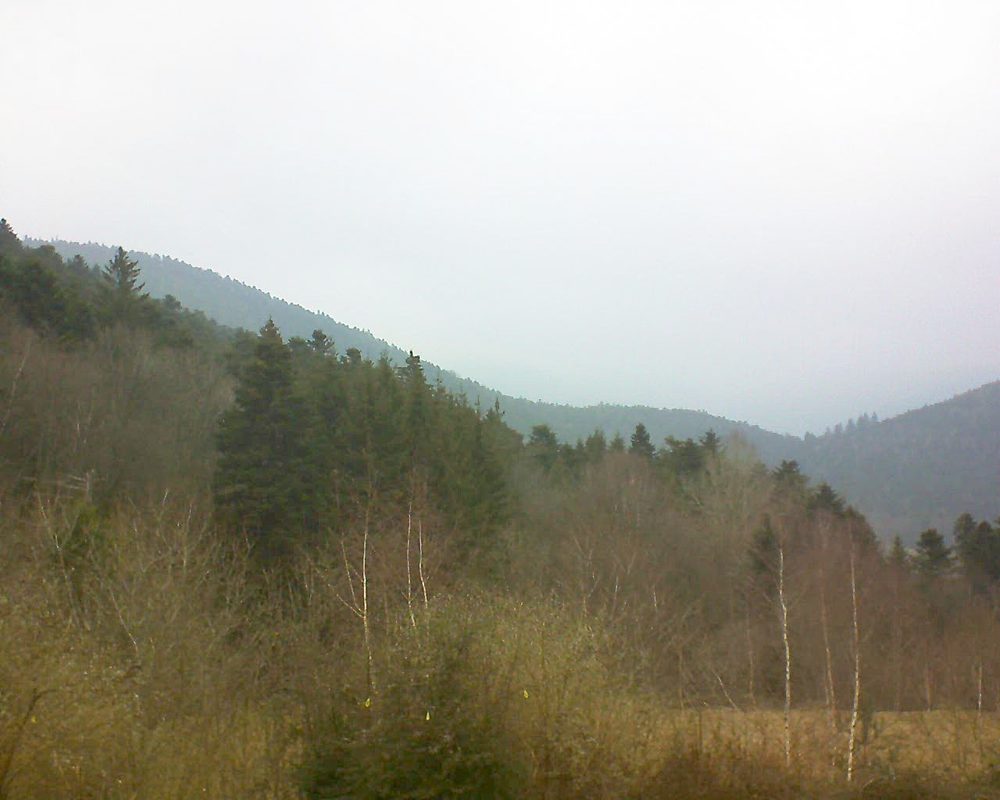 Le petit ballon vu depuis le Domaine Langmatt à Murbach le 22.02.2019 à 10:45 Le petit ballon (Alsace, Vosges) le 22.02.2019 à 10:45
