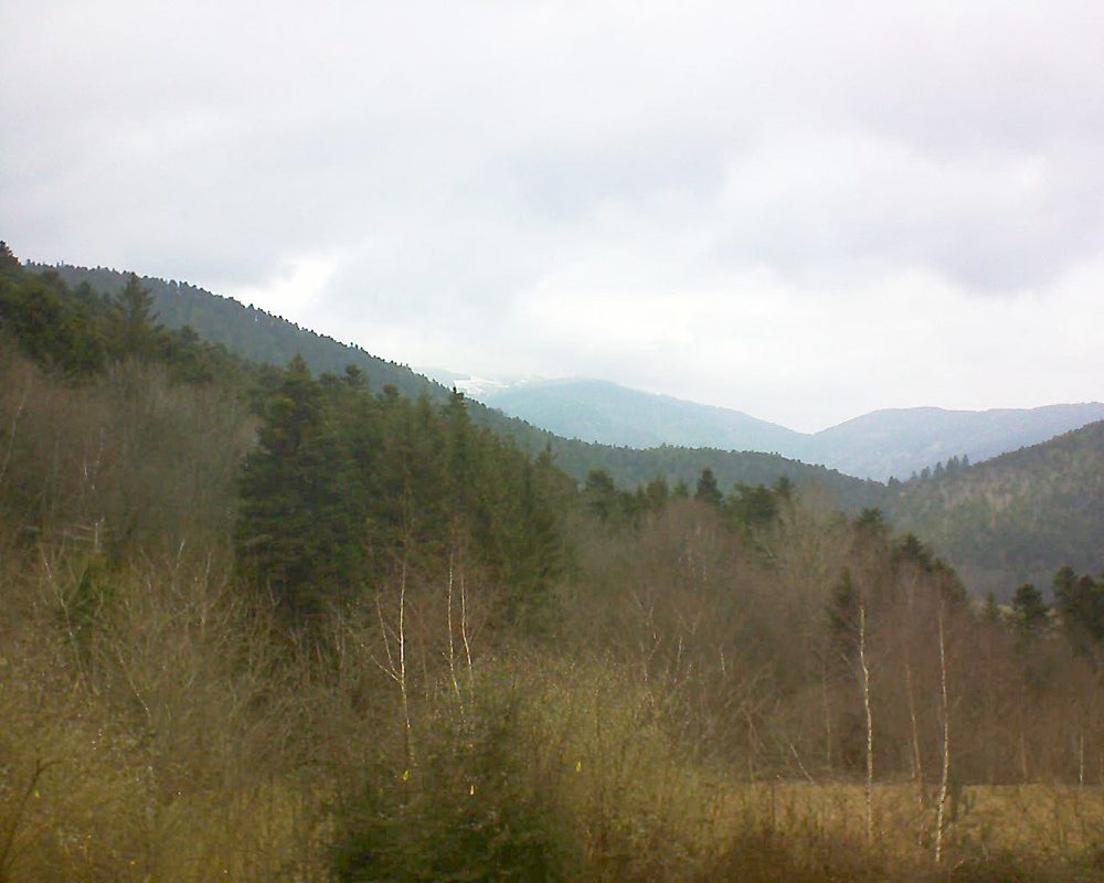 Le petit ballon vu depuis le Domaine Langmatt à Murbach le 22.02.2019 à 12:15 Le petit ballon (Alsace, Vosges) le 22.02.2019 à 12:15