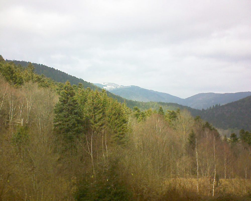 Le petit ballon vu depuis le Domaine Langmatt à Murbach le 22.02.2019 à 13:15 Le petit ballon (Alsace, Vosges) le 22.02.2019 à 13:15