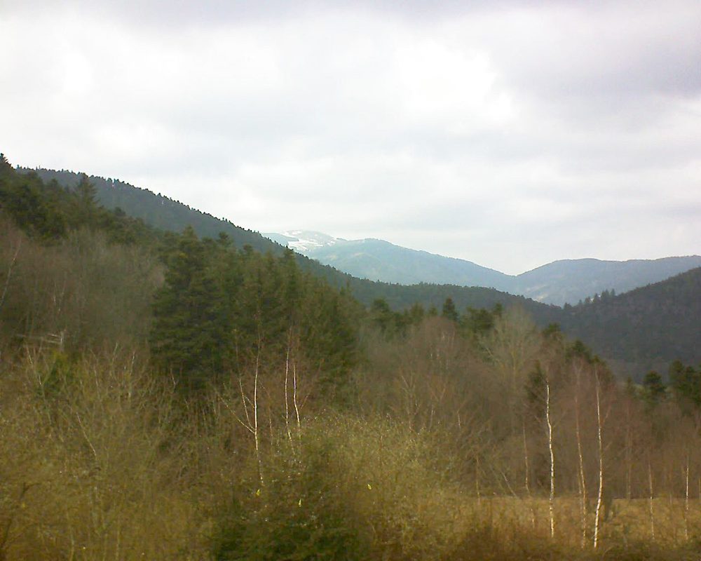 Le petit ballon vu depuis le Domaine Langmatt à Murbach le 22.02.2019 à 14:15 Le petit ballon (Alsace, Vosges) le 22.02.2019 à 14:15