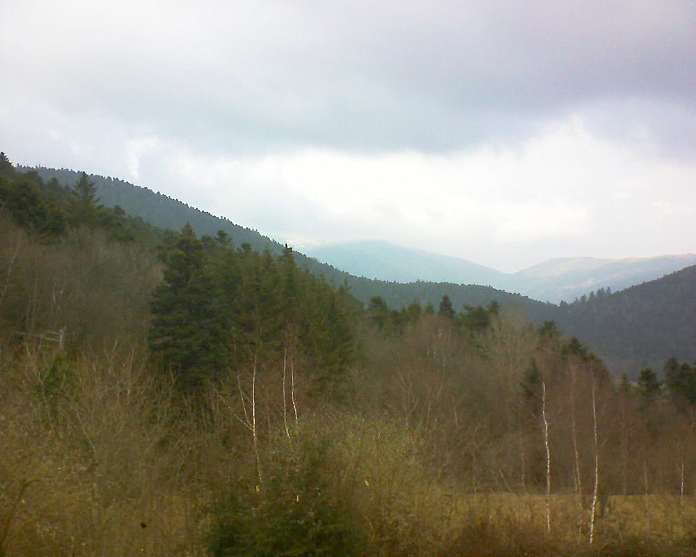 Le petit ballon vu depuis le Domaine Langmatt à Murbach le 22.02.2019 à 15:45 Le petit ballon (Alsace, Vosges) le 22.02.2019 à 15:45