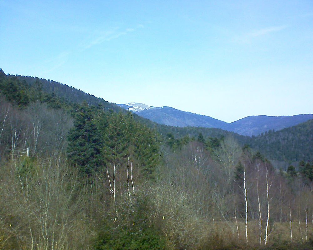 Le petit ballon vu depuis le Domaine Langmatt à Murbach le 23.02.2019 à 12:30 Le petit ballon (Alsace, Vosges) le 23.02.2019 à 12:30