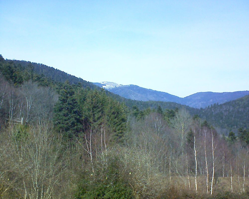 Le petit ballon vu depuis le Domaine Langmatt à Murbach le 23.02.2019 à 13:15 Le petit ballon (Alsace, Vosges) le 23.02.2019 à 13:15