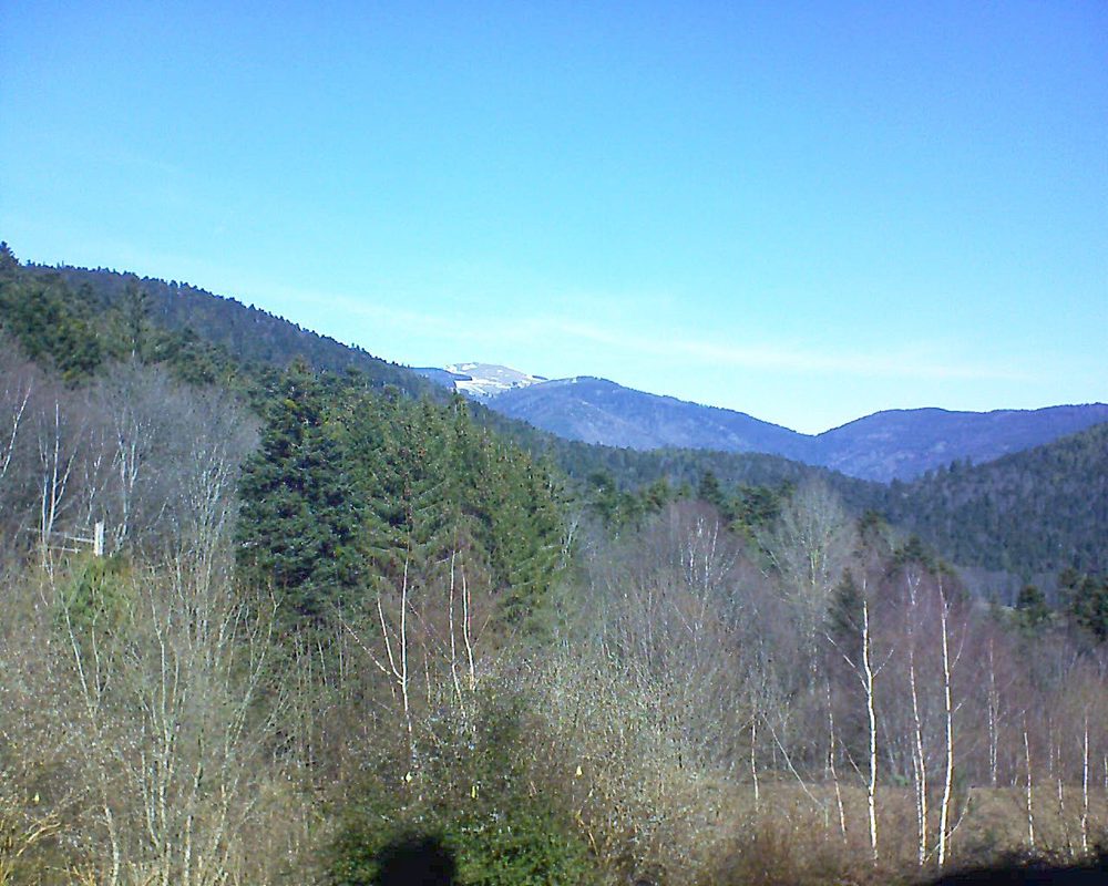 Le petit ballon vu depuis le Domaine Langmatt à Murbach le 24.02.2019 à 11:45 Le petit ballon (Alsace, Vosges) le 24.02.2019 à 11:45