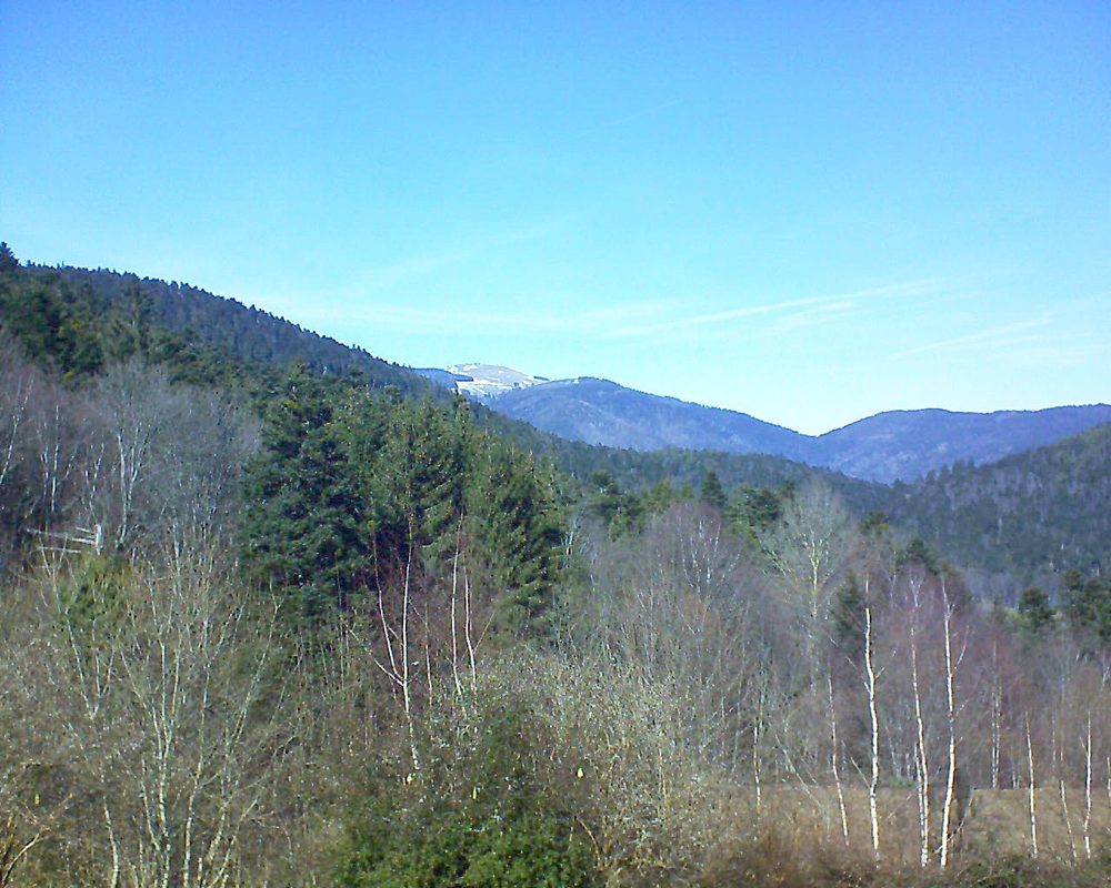 Le petit ballon vu depuis le Domaine Langmatt à Murbach le 24.02.2019 à 13:30 Le petit ballon (Alsace, Vosges) le 24.02.2019 à 13:30