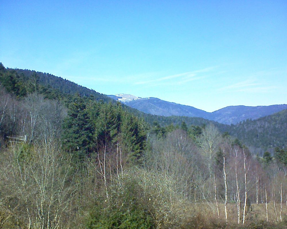 Le petit ballon vu depuis le Domaine Langmatt à Murbach le 24.02.2019 à 13:45 Le petit ballon (Alsace, Vosges) le 24.02.2019 à 13:45