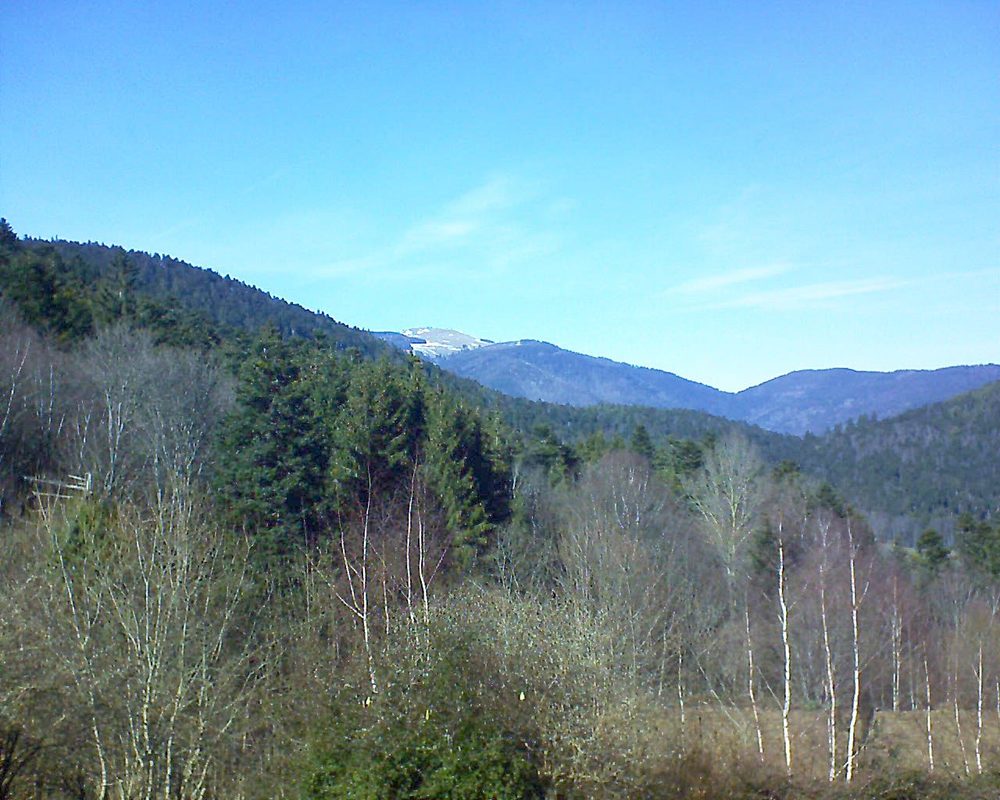 Le petit ballon vu depuis le Domaine Langmatt à Murbach le 24.02.2019 à 14:15 Le petit ballon (Alsace, Vosges) le 24.02.2019 à 14:15