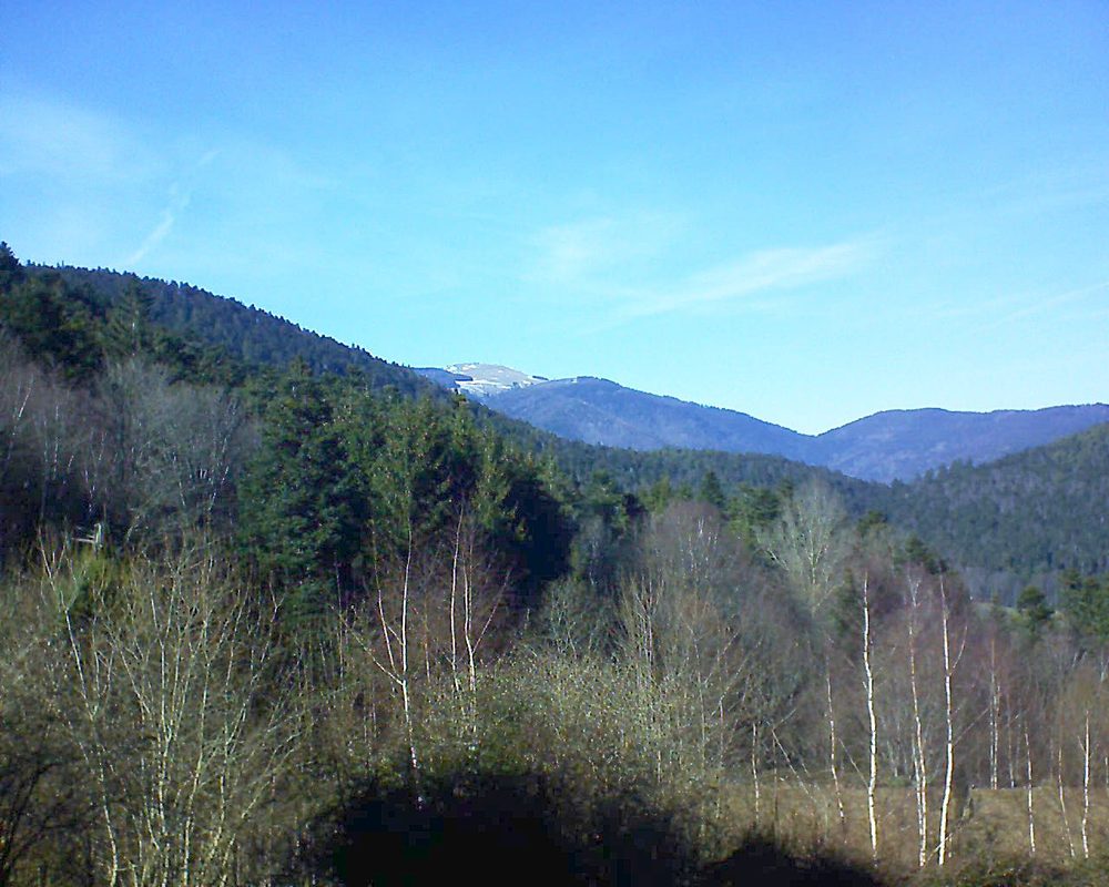 Le petit ballon vu depuis le Domaine Langmatt à Murbach le 24.02.2019 à 15:00 Le petit ballon (Alsace, Vosges) le 24.02.2019 à 15:00