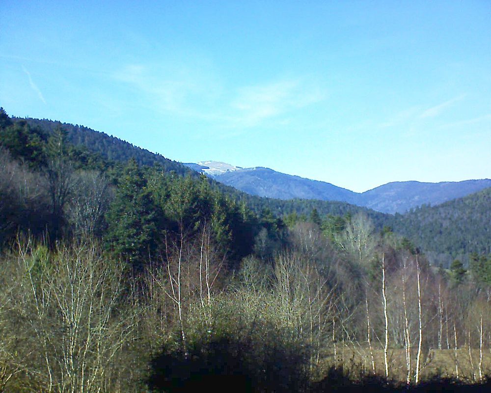 Le petit ballon vu depuis le Domaine Langmatt à Murbach le 24.02.2019 à 15:30 Le petit ballon (Alsace, Vosges) le 24.02.2019 à 15:30