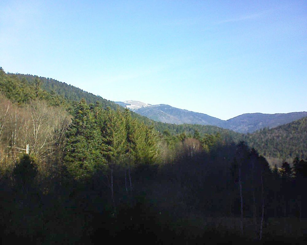 Le petit ballon vu depuis le Domaine Langmatt à Murbach le 25.02.2019 à 10:00 Le petit ballon (Alsace, Vosges) le 25.02.2019 à 10:00