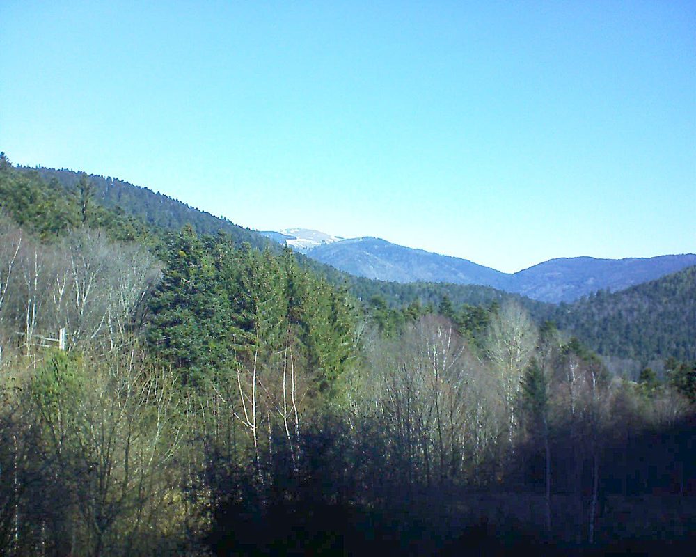 Le petit ballon vu depuis le Domaine Langmatt à Murbach le 25.02.2019 à 10:30 Le petit ballon (Alsace, Vosges) le 25.02.2019 à 10:30