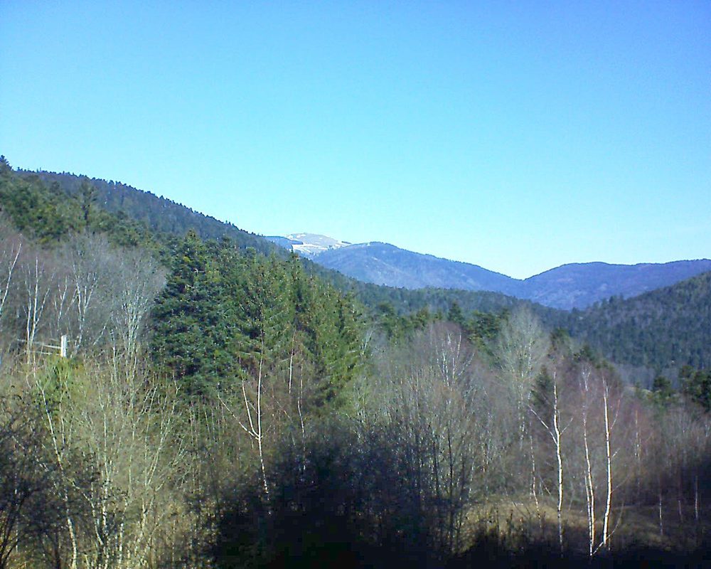 Le petit ballon vu depuis le Domaine Langmatt à Murbach le 25.02.2019 à 11:00 Le petit ballon (Alsace, Vosges) le 25.02.2019 à 11:00