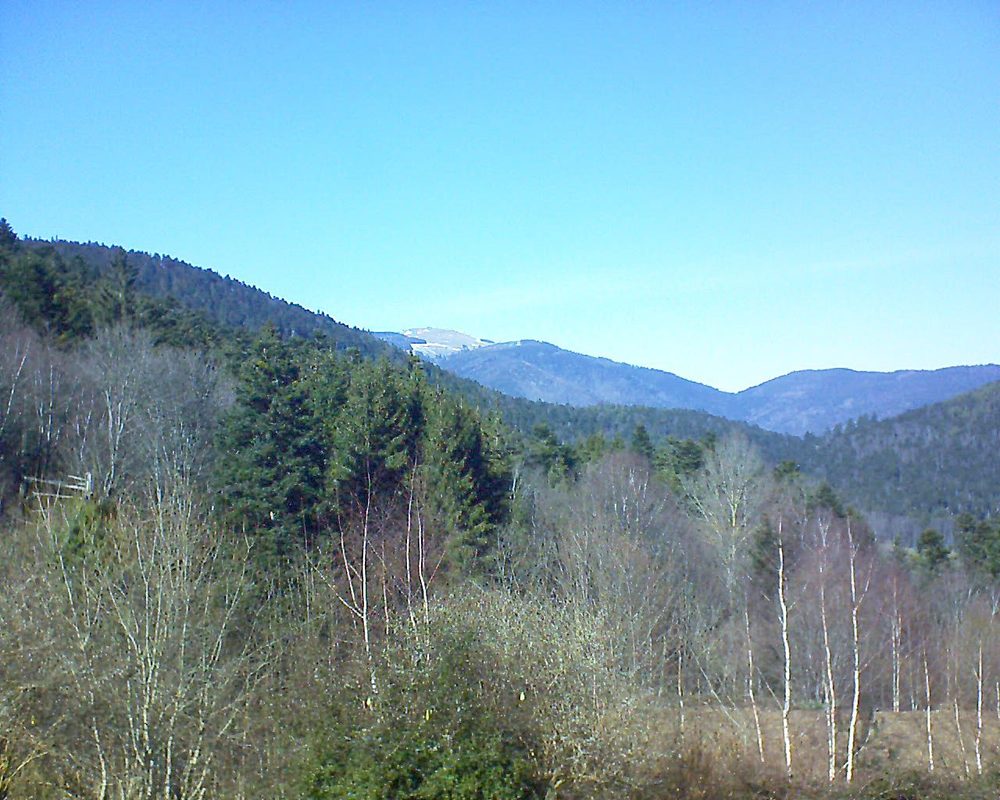 Le petit ballon vu depuis le Domaine Langmatt à Murbach le 25.02.2019 à 14:00 Le petit ballon (Alsace, Vosges) le 25.02.2019 à 14:00