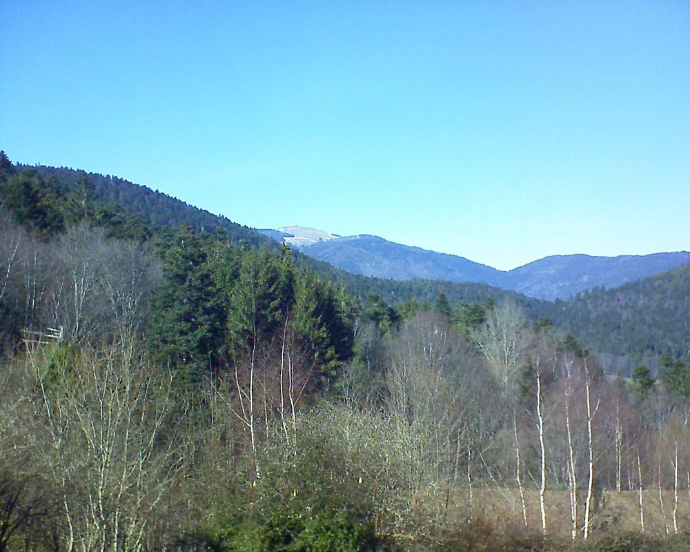 Le petit ballon vu depuis le Domaine Langmatt à Murbach le 25.02.2019 à 14:30 Le petit ballon (Alsace, Vosges) le 25.02.2019 à 14:30