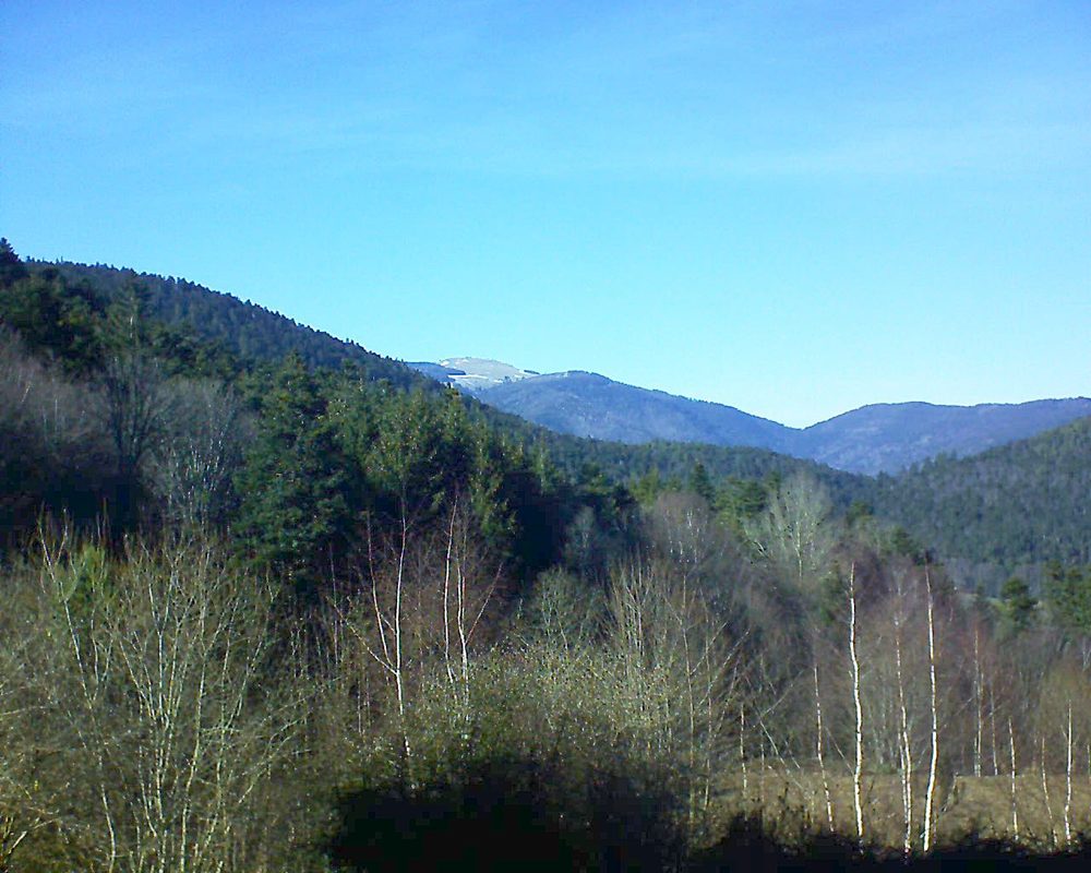 Le petit ballon vu depuis le Domaine Langmatt à Murbach le 25.02.2019 à 15:30 Le petit ballon (Alsace, Vosges) le 25.02.2019 à 15:30