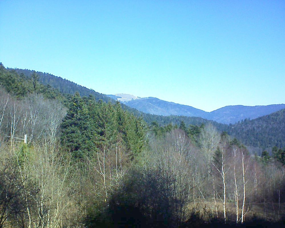 Le petit ballon vu depuis le Domaine Langmatt à Murbach le 27.02.2019 à 11:00 Le petit ballon (Alsace, Vosges) le 27.02.2019 à 11:00
