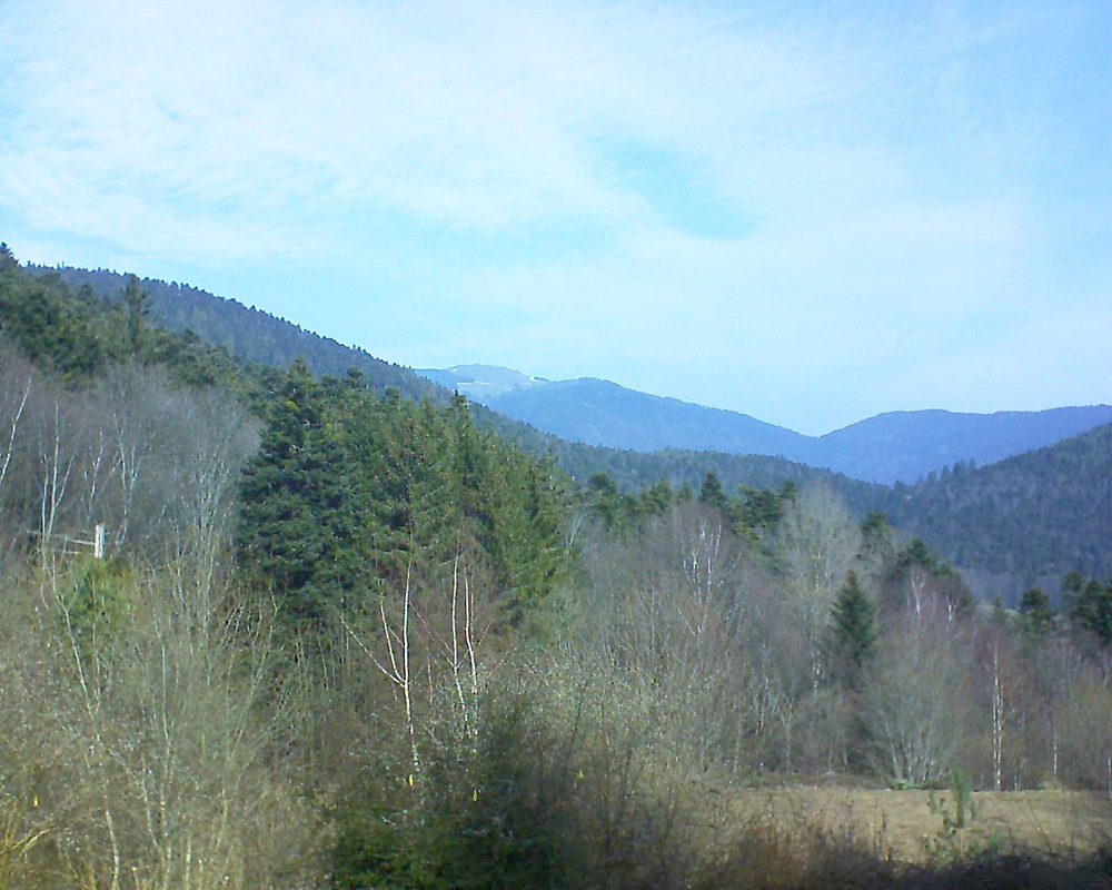 Le petit ballon vu depuis le Domaine Langmatt à Murbach le 28.02.2019 à 11:15 Le petit ballon (Alsace, Vosges) le 28.02.2019 à 11:15
