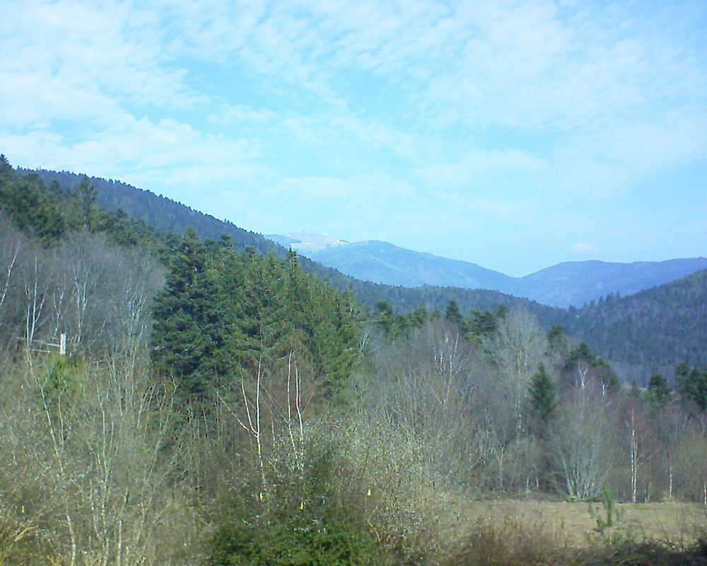 Le petit ballon vu depuis le Domaine Langmatt à Murbach le 28.02.2019 à 11:45 Le petit ballon (Alsace, Vosges) le 28.02.2019 à 11:45