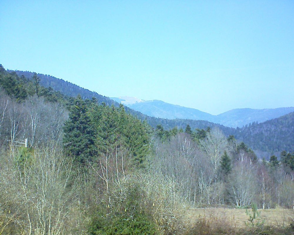 Le petit ballon vu depuis le Domaine Langmatt à Murbach le 28.02.2019 à 12:30 Le petit ballon (Alsace, Vosges) le 28.02.2019 à 12:30