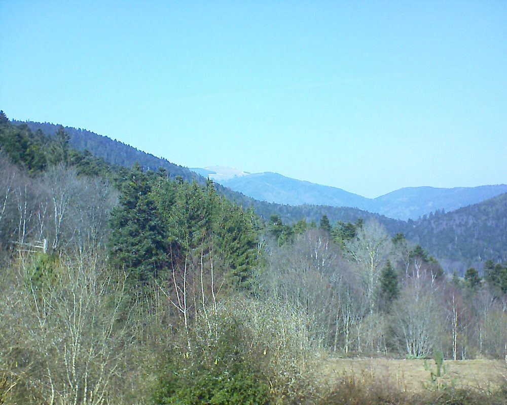Le petit ballon vu depuis le Domaine Langmatt à Murbach le 28.02.2019 à 13:15 Le petit ballon (Alsace, Vosges) le 28.02.2019 à 13:15