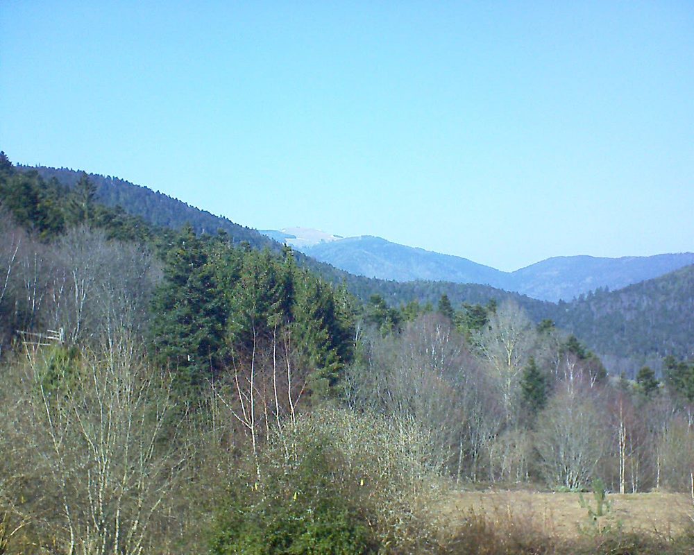 Le petit ballon vu depuis le Domaine Langmatt à Murbach le 28.02.2019 à 14:00 Le petit ballon (Alsace, Vosges) le 28.02.2019 à 14:00