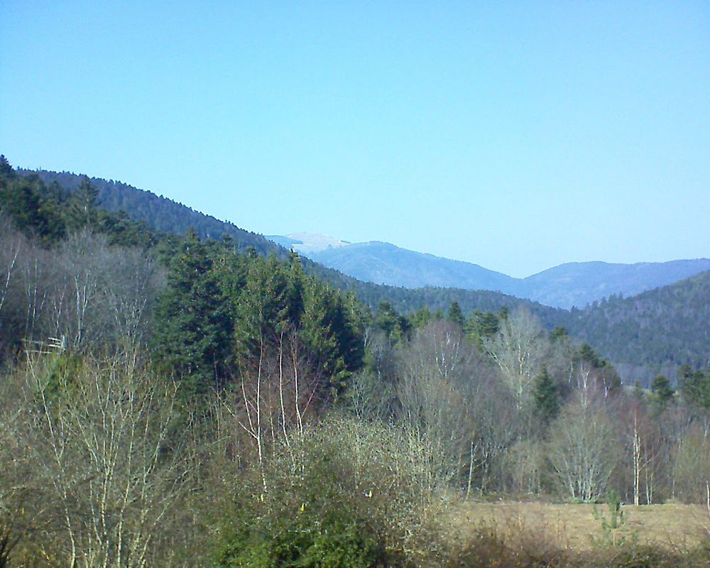 Le petit ballon vu depuis le Domaine Langmatt à Murbach le 28.02.2019 à 14:30 Le petit ballon (Alsace, Vosges) le 28.02.2019 à 14:30