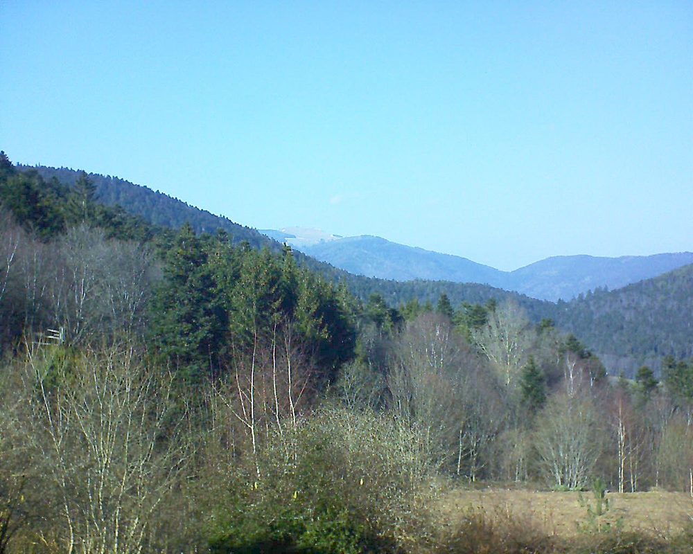 Le petit ballon vu depuis le Domaine Langmatt à Murbach le 28.02.2019 à 14:45 Le petit ballon (Alsace, Vosges) le 28.02.2019 à 14:45