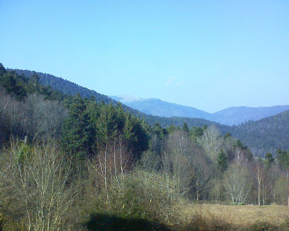 Le petit ballon vu depuis le Domaine Langmatt à Murbach le 28.02.2019 à 15:00 Le petit ballon (Alsace, Vosges) le 28.02.2019 à 15:00