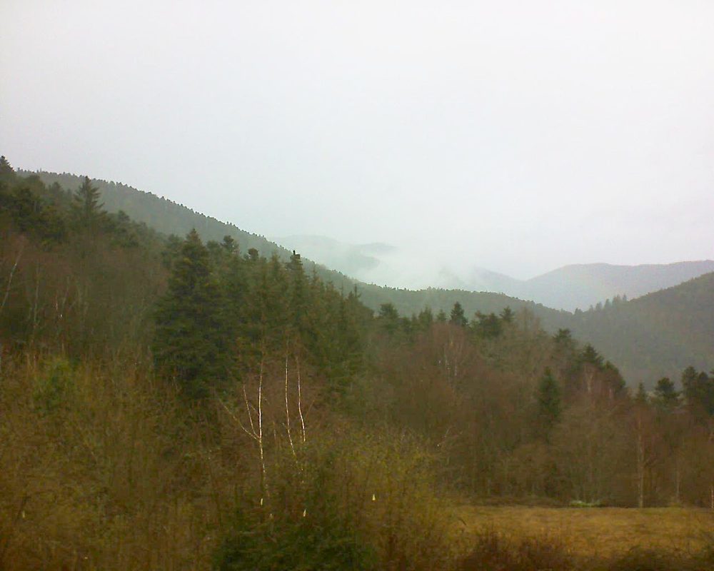 Le petit ballon vu depuis le Domaine Langmatt à Murbach le 01.03.2019 à 12:00 Le petit ballon (Alsace, Vosges) le 01.03.2019 à 12:00