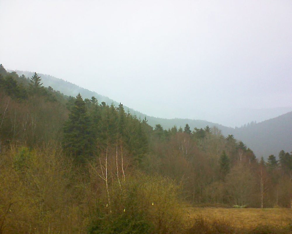 Le petit ballon vu depuis le Domaine Langmatt à Murbach le 01.03.2019 à 15:15 Le petit ballon (Alsace, Vosges) le 01.03.2019 à 15:15