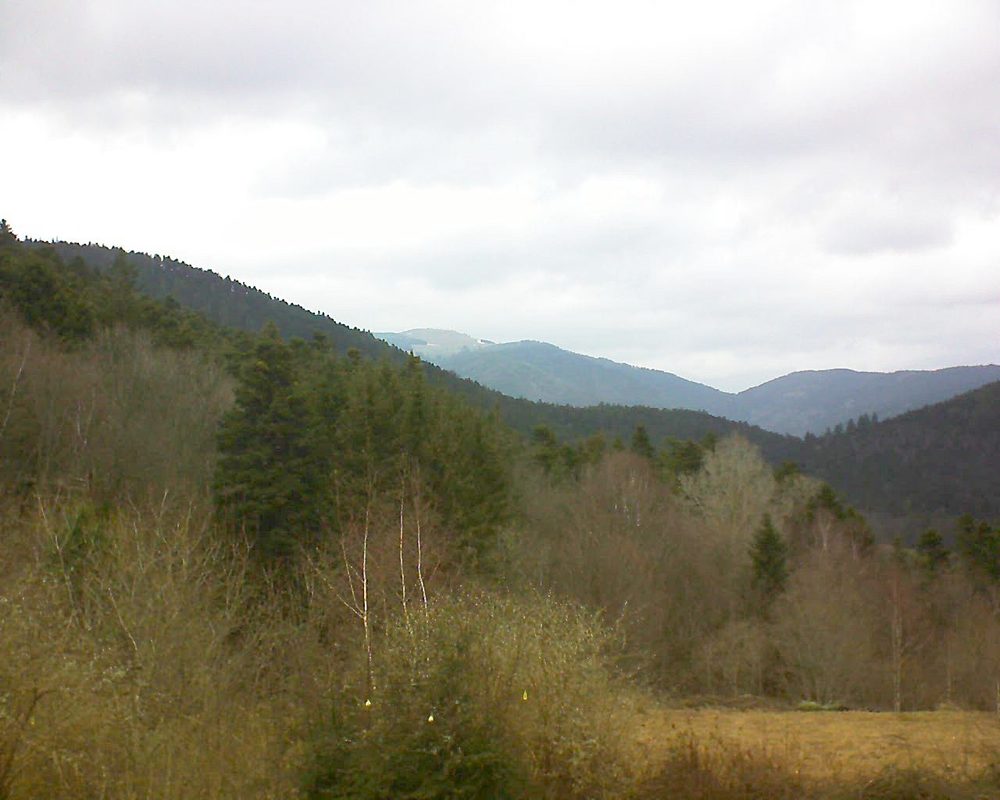 Le petit ballon vu depuis le Domaine Langmatt à Murbach le 02.03.2019 à 11:30 Le petit ballon (Alsace, Vosges) le 02.03.2019 à 11:30
