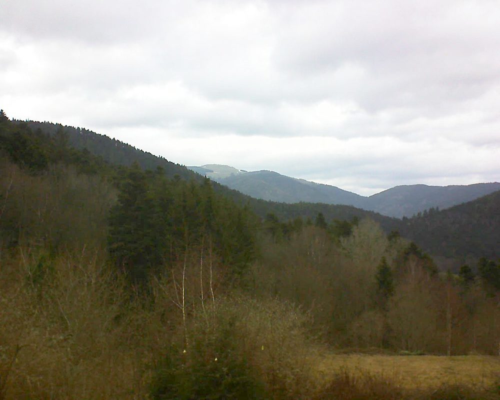 Le petit ballon vu depuis le Domaine Langmatt à Murbach le 02.03.2019 à 12:45 Le petit ballon (Alsace, Vosges) le 02.03.2019 à 12:45