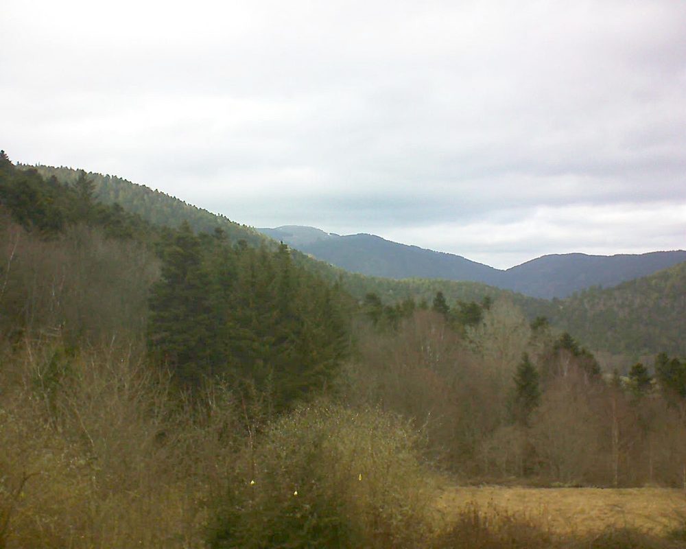 Le petit ballon vu depuis le Domaine Langmatt à Murbach le 02.03.2019 à 15:15 Le petit ballon (Alsace, Vosges) le 02.03.2019 à 15:15