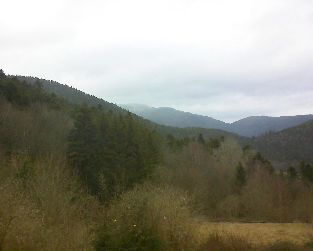 Le petit ballon vu depuis le Domaine Langmatt à Murbach le 02.03.2019 à 16:30 Le petit ballon (Alsace, Vosges) le 02.03.2019 à 16:30