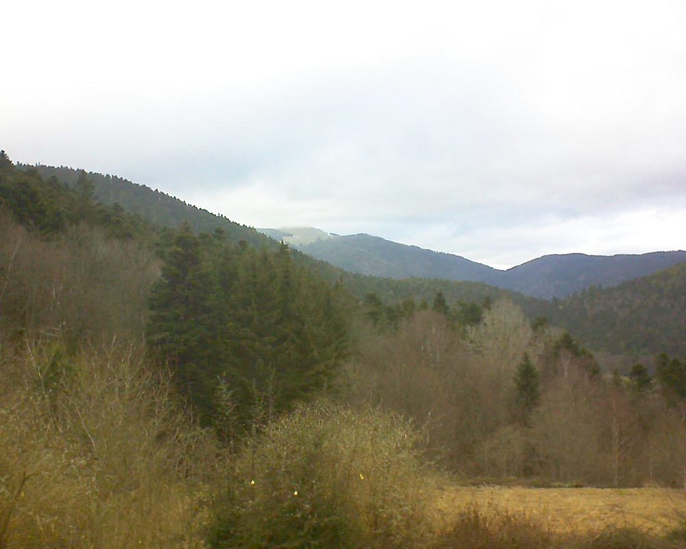 Le petit ballon vu depuis le Domaine Langmatt à Murbach le 02.03.2019 à 17:15 Le petit ballon (Alsace, Vosges) le 02.03.2019 à 17:15