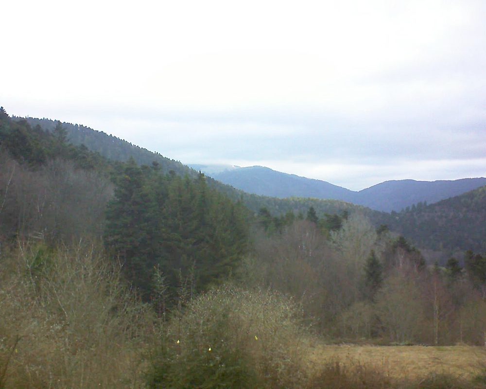 Le petit ballon vu depuis le Domaine Langmatt à Murbach le 03.03.2019 à 08:00 Le petit ballon (Alsace, Vosges) le 03.03.2019 à 08:00