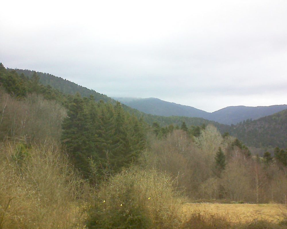 Le petit ballon vu depuis le Domaine Langmatt à Murbach le 03.03.2019 à 10:45 Le petit ballon (Alsace, Vosges) le 03.03.2019 à 10:45