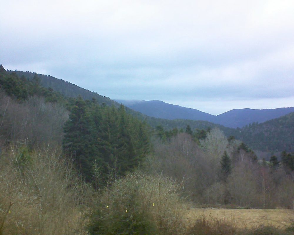 Le petit ballon vu depuis le Domaine Langmatt à Murbach le 03.03.2019 à 11:00 Le petit ballon (Alsace, Vosges) le 03.03.2019 à 11:00