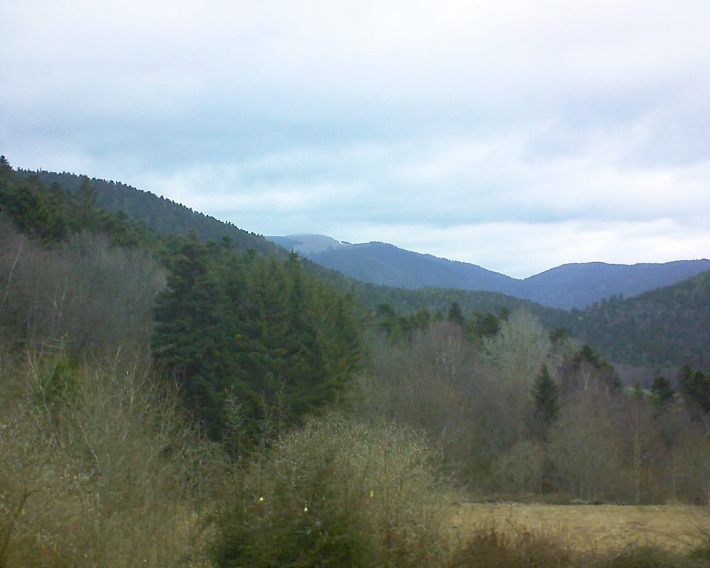 Le petit ballon vu depuis le Domaine Langmatt à Murbach le 03.03.2019 à 11:15 Le petit ballon (Alsace, Vosges) le 03.03.2019 à 11:15