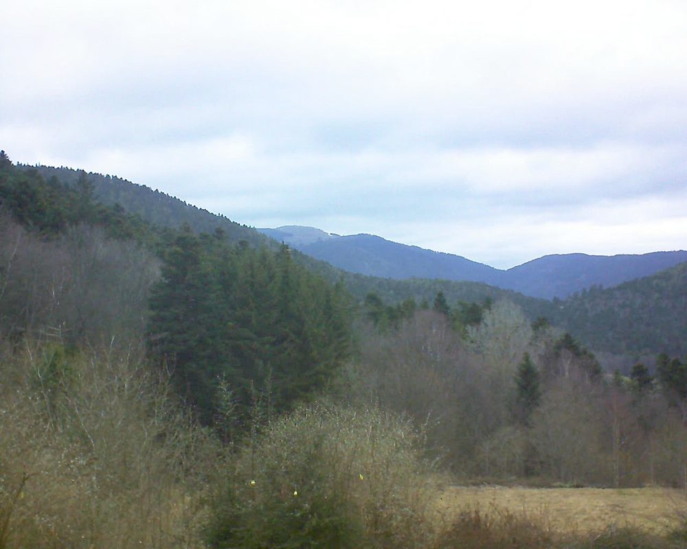 Le petit ballon vu depuis le Domaine Langmatt à Murbach le 03.03.2019 à 11:30 Le petit ballon (Alsace, Vosges) le 03.03.2019 à 11:30