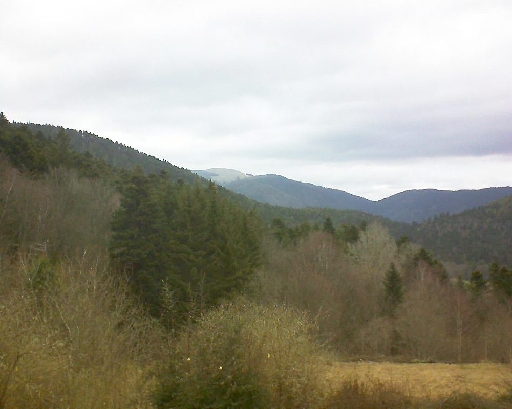 Le petit ballon vu depuis le Domaine Langmatt à Murbach le 03.03.2019 à 12:45 Le petit ballon (Alsace, Vosges) le 03.03.2019 à 12:45