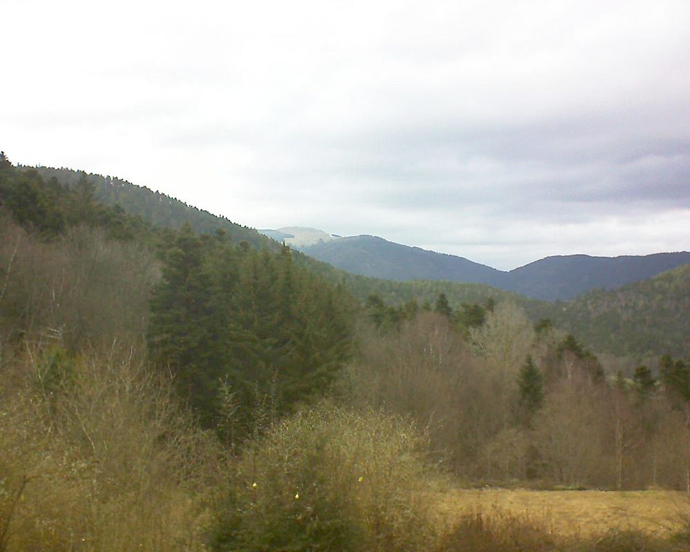 Le petit ballon vu depuis le Domaine Langmatt à Murbach le 03.03.2019 à 13:30 Le petit ballon (Alsace, Vosges) le 03.03.2019 à 13:30